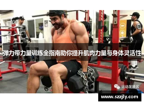 弹力带力量训练全指南助你提升肌肉力量与身体灵活性