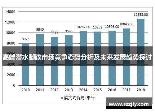 高端潜水脚蹼市场竞争态势分析及未来发展趋势探讨