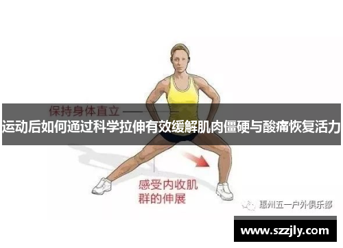 运动后如何通过科学拉伸有效缓解肌肉僵硬与酸痛恢复活力