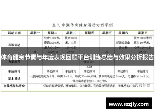 体育健身节奏与年度表现回顾平台训练总结与效果分析报告
